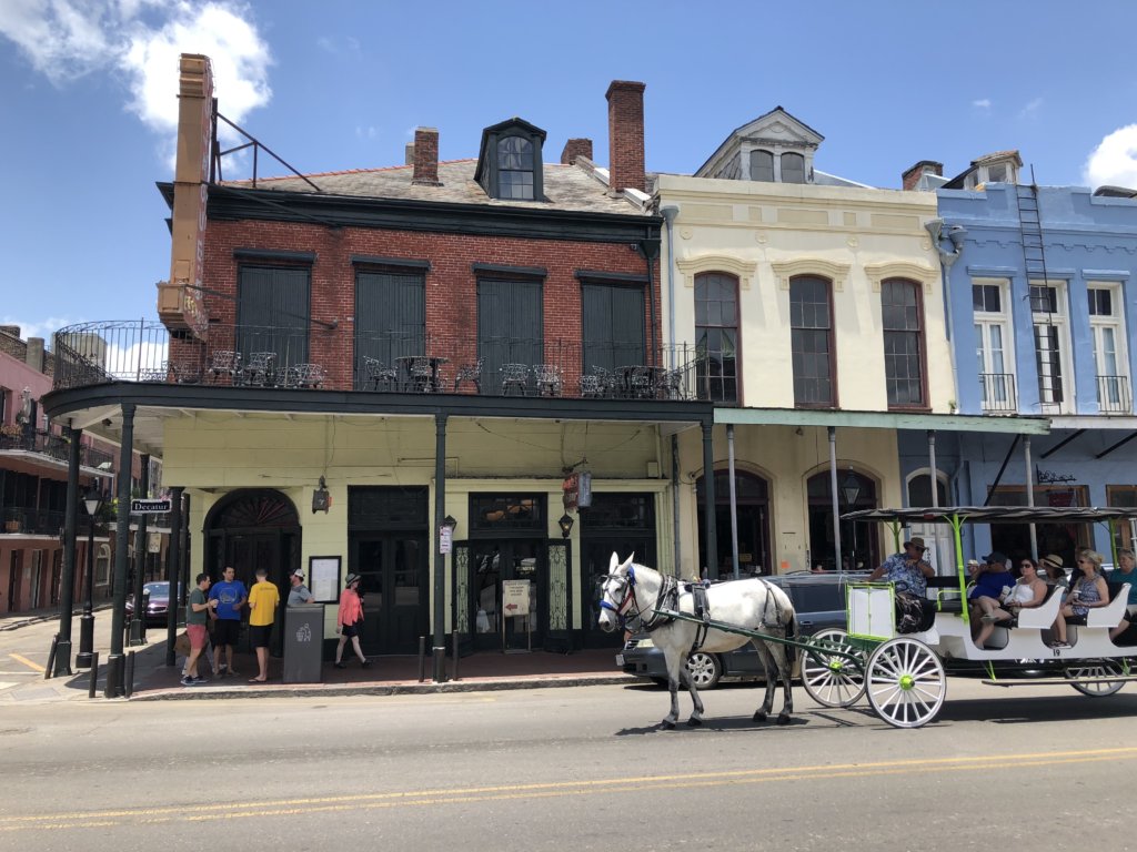Old houses on the streets of New Orleans. People on the sidewalks. A white carrigage being pulled by a white mule carrying tourists through the streets.