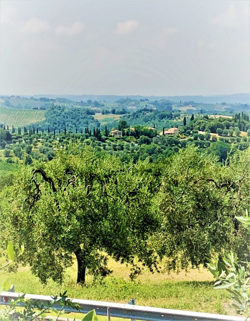 Striking views of Tuscany with trees and rolling hills