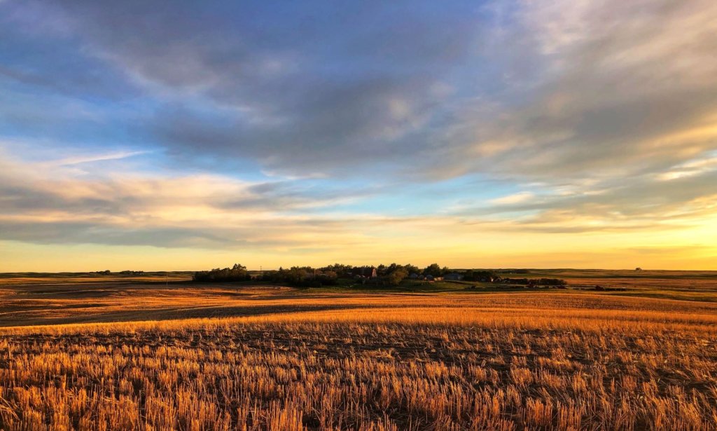 Farm sunset picture from a stubble field in Saskatchewan
