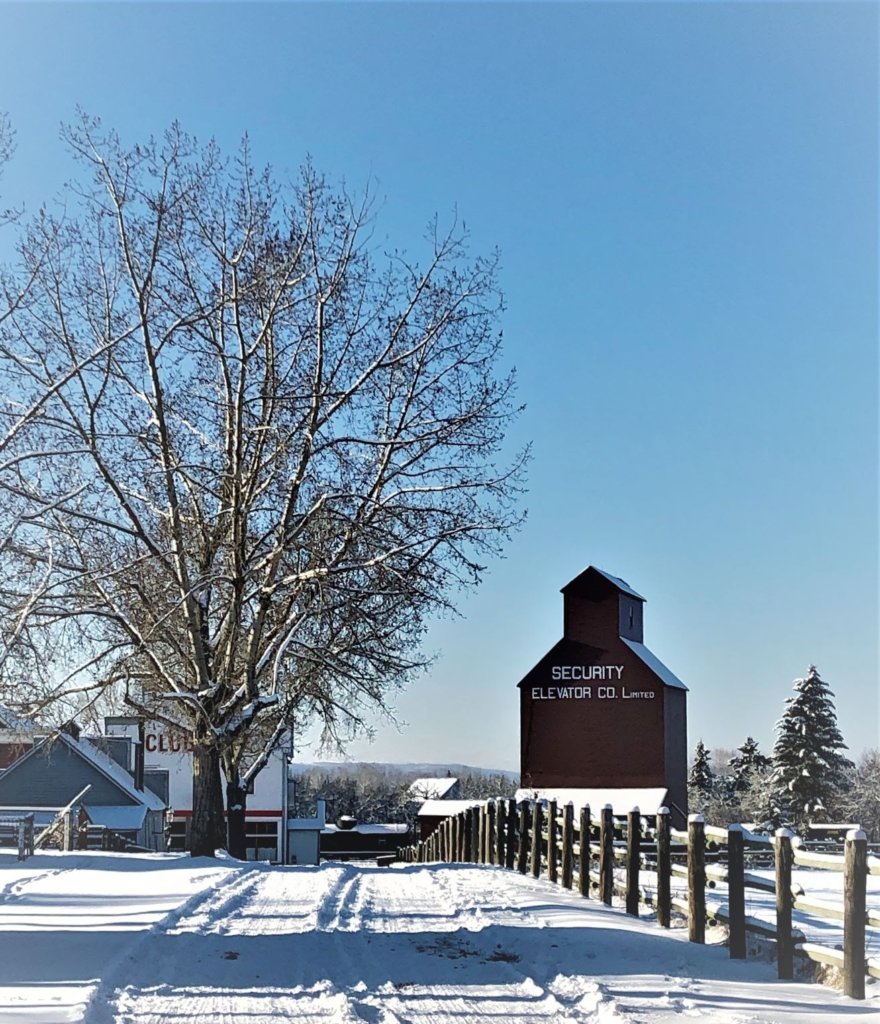 Grain elevators were the sentinels on the prairies, marking every town along the road.