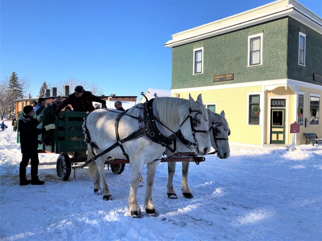 Cap and Mac, a team of Percheron geldings, get ready to take their guests around Heritage Park for Once Upon a Christmas
