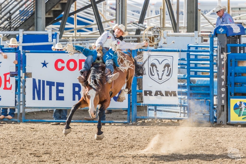 cowboy on the back of a bucking bronc at a rodeo