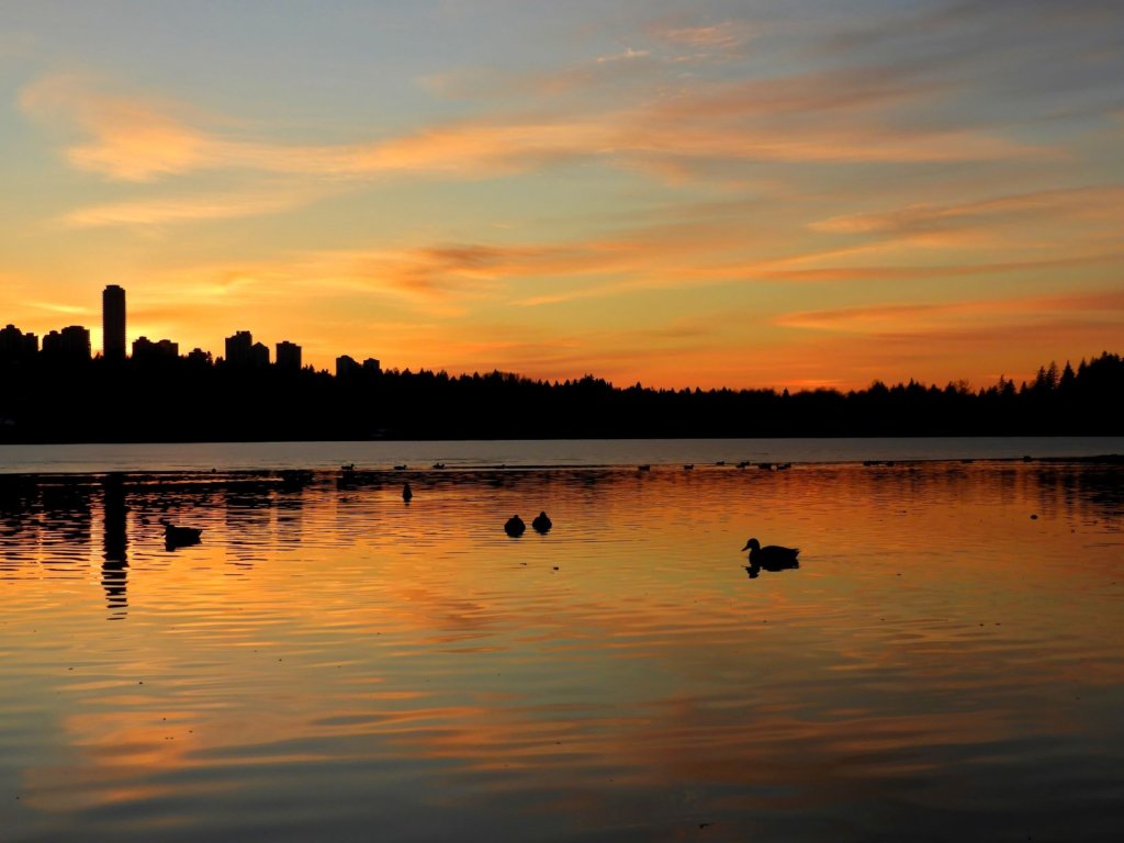 Sunset over Burnaby at Deer Lake Park with ducks swimming in the water