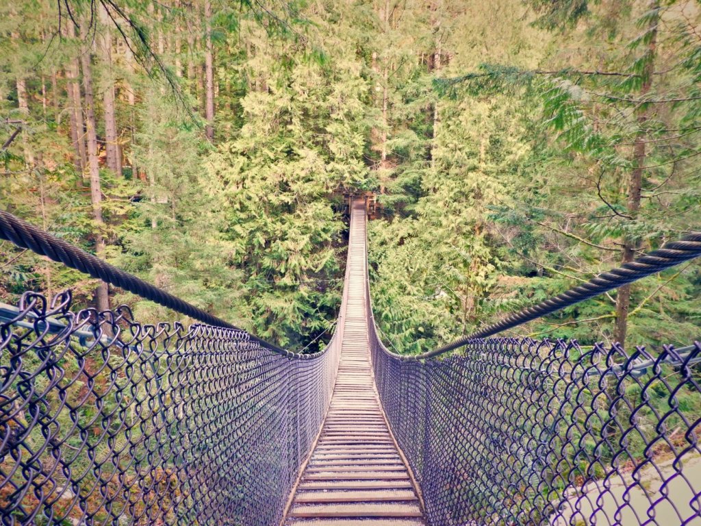 Suspension bridge hanging over a canyon