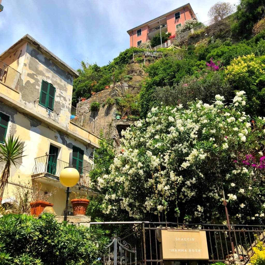 Terraced houses in Riomaggiore Cinque Terre