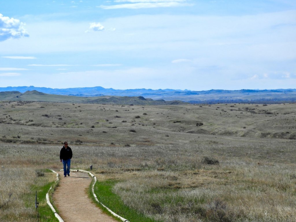 man walking through grassy lands with mountains in the background