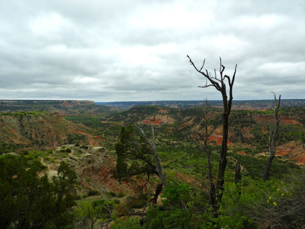 View of Palo Duro Canyon Texas