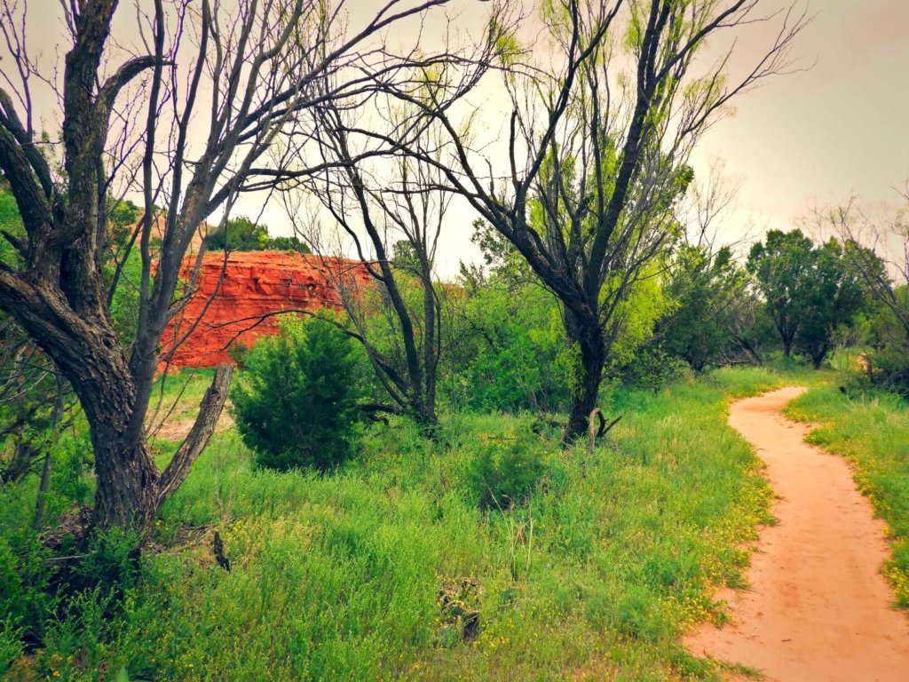 red rocks, green grass and trees in Palo Duro Canyon State Park