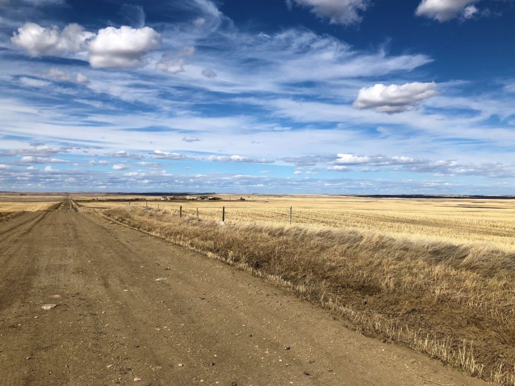 dirt road in Saskatchewan Canada with prairie fields stretching to the horizon.