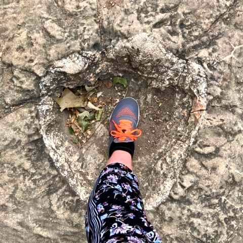 a human foot inside a cast of a dinosaur footprint