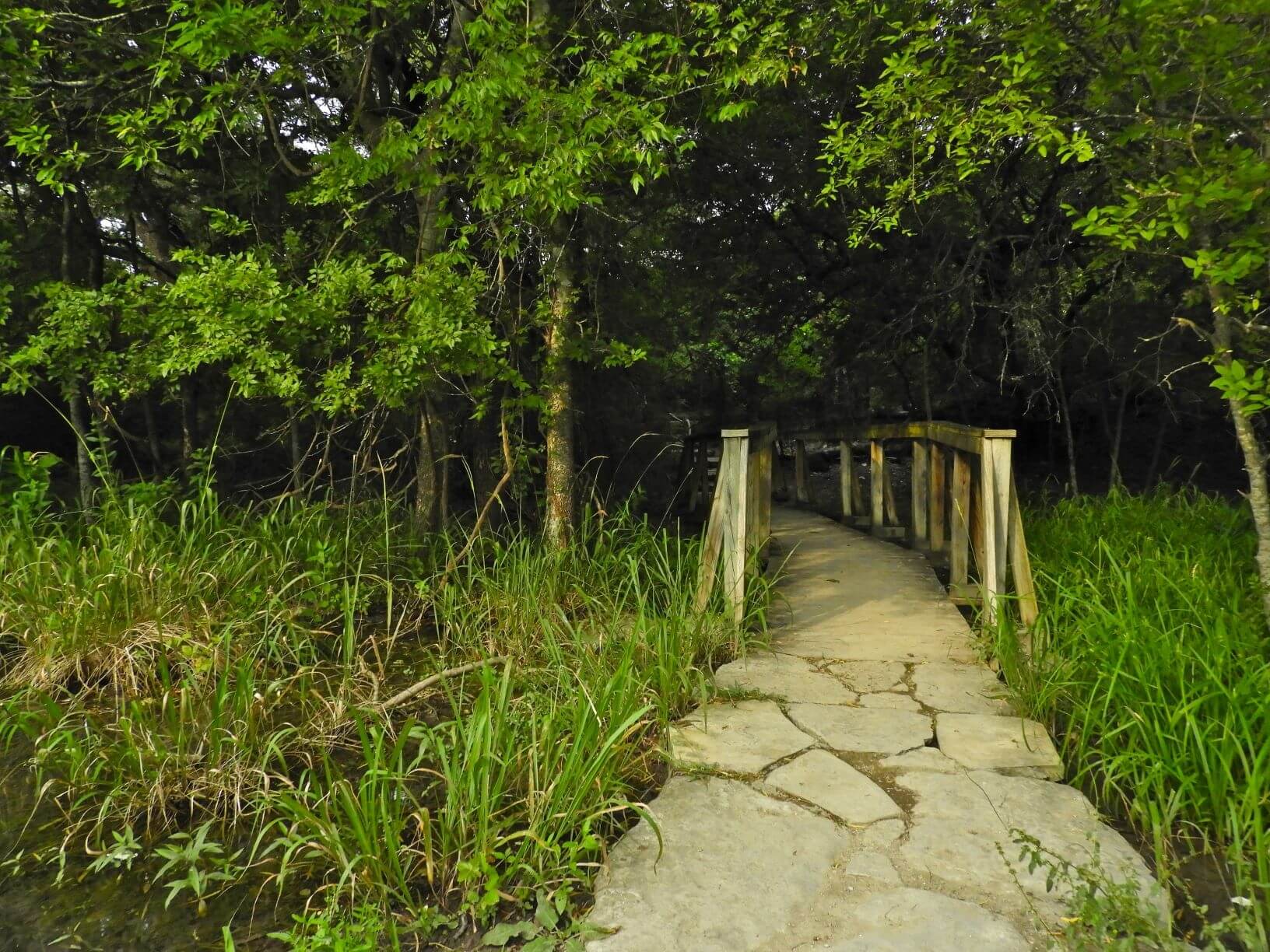 stone path leading into trees at Cibolo Nature Center, Boerne, Texas