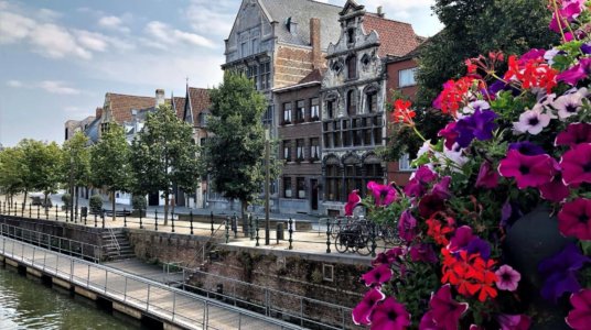 Mechelen Belgium with flowers, Flemish buildings. Street photography.