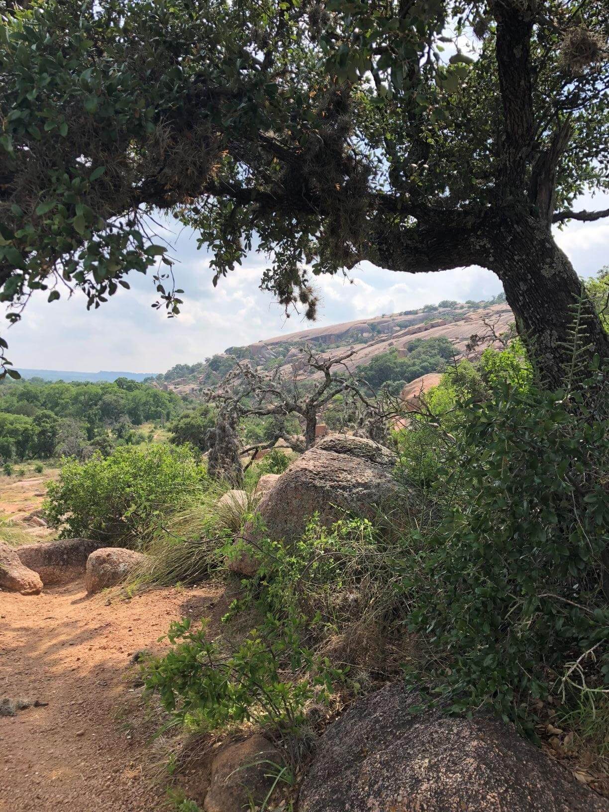 Texas landscape with trees and rock at Enchanted Rock State Natural Area