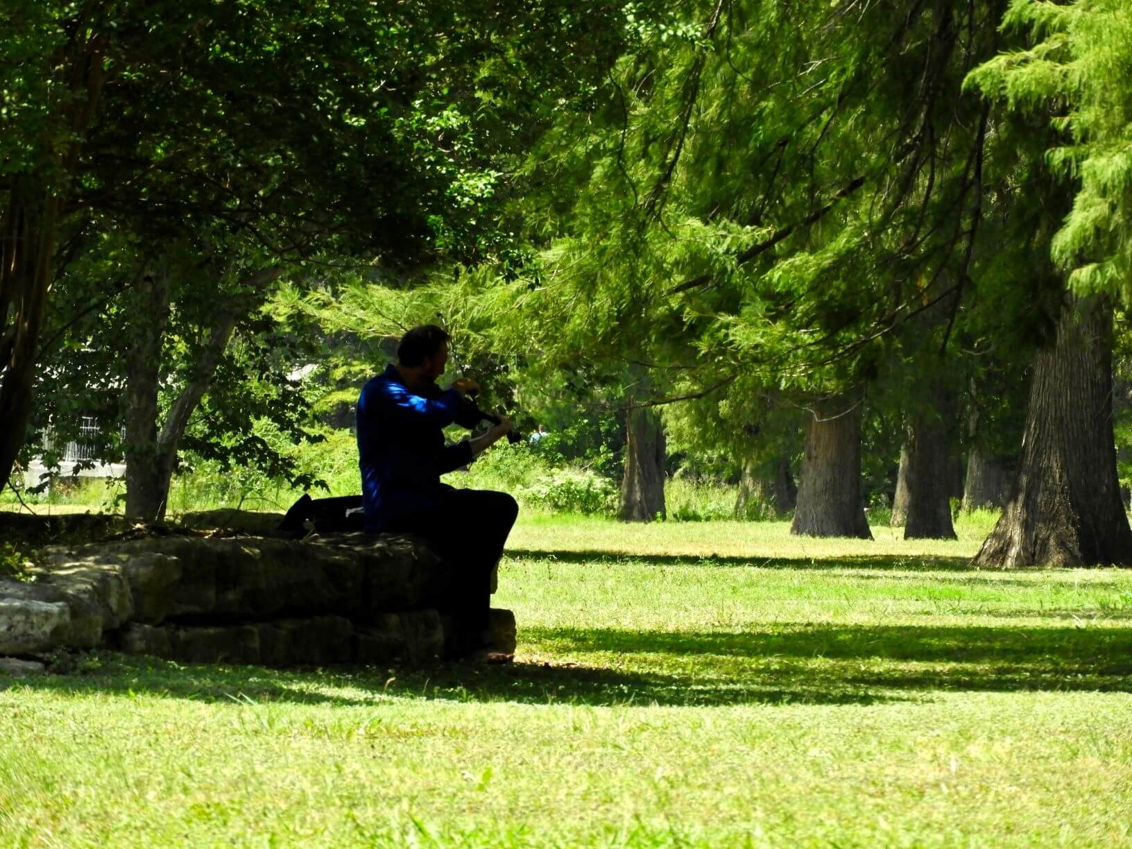 a man plays a violin in the park