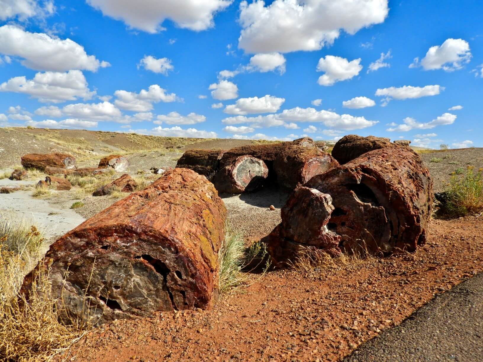 Dont Miss Petrified Forest National Park A Wandering Web