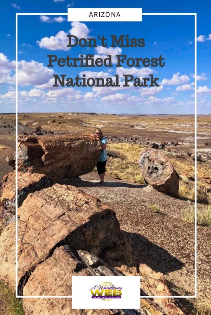 Try these simple ideas for a carefree summer day visiting Petrified Forest National Park with family and friends. No stress. Just fun.