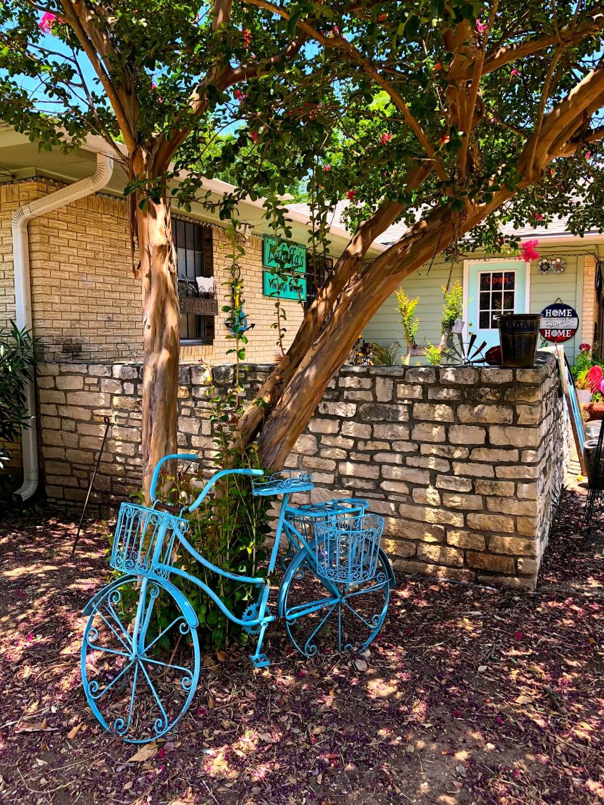 Salado: A blue bicycle rests against a tree is part of the endearing street art in Salado.
