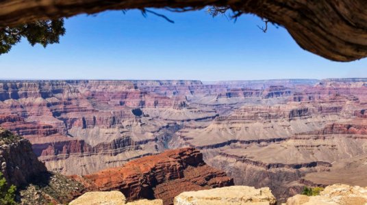 grand canyon framed by wood