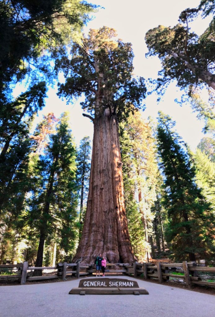 The smell of fresh pine and crisp mountain air greet you in the kingdom of the giant sequoias. If you love nature and are looking for places to travel in the USA, you will love walking amongst the giants in Sequoia and Kings Canyon National Park. #best #bucketlists