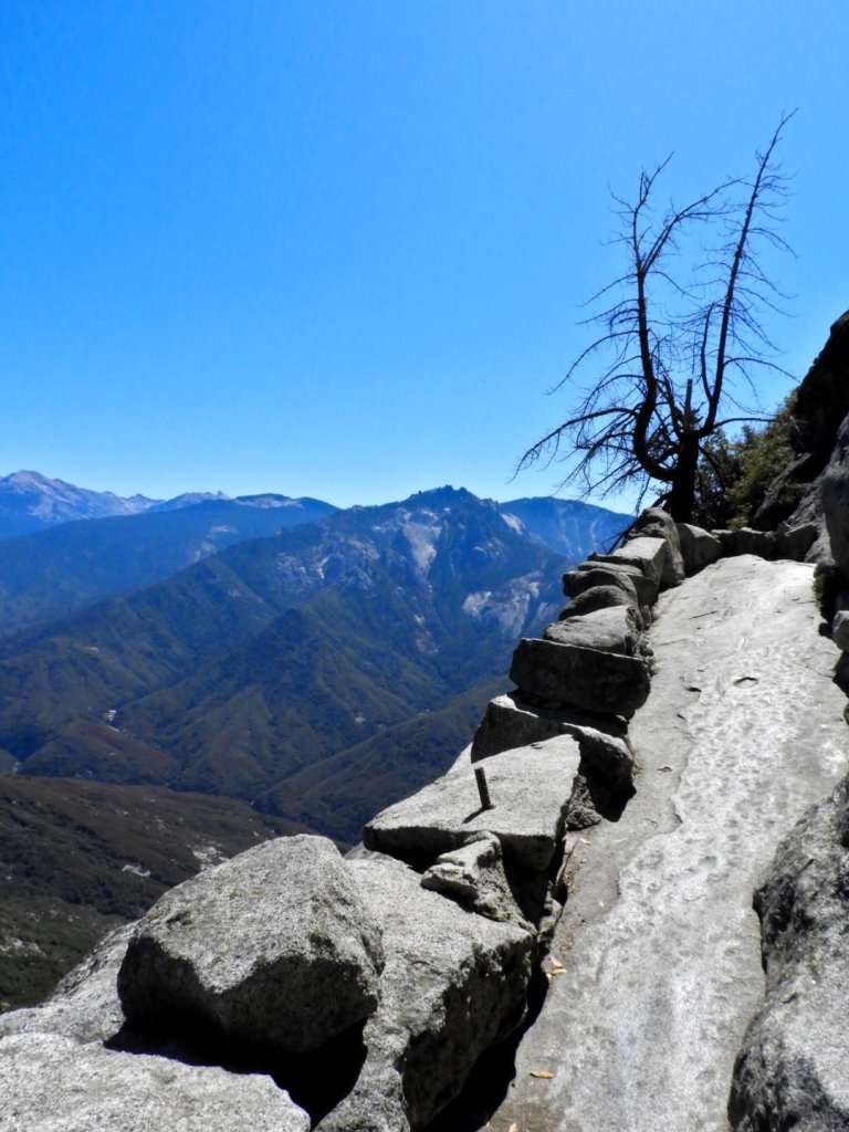 Travel is not just about what is good for us. Travel is an educational tool for us to learn about how we can conserve the beautiful realm around us. Travel to Sequoia and Kings Canyon National Park has many lessons to teach. #PlacesToVisit #WeekendGetaways