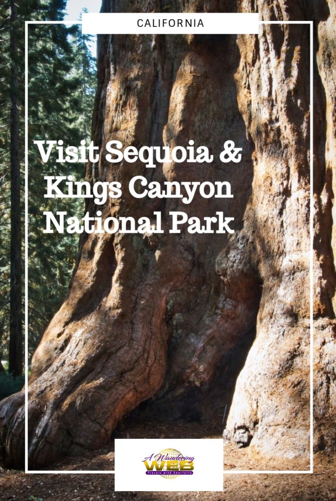 Wondering about visiting Sequoia National Park? Check out this post for a list of the best tips to visit Sequoia National Park from this female travel blogger! #TravelBloggerToFollow #BestTravelBlogger