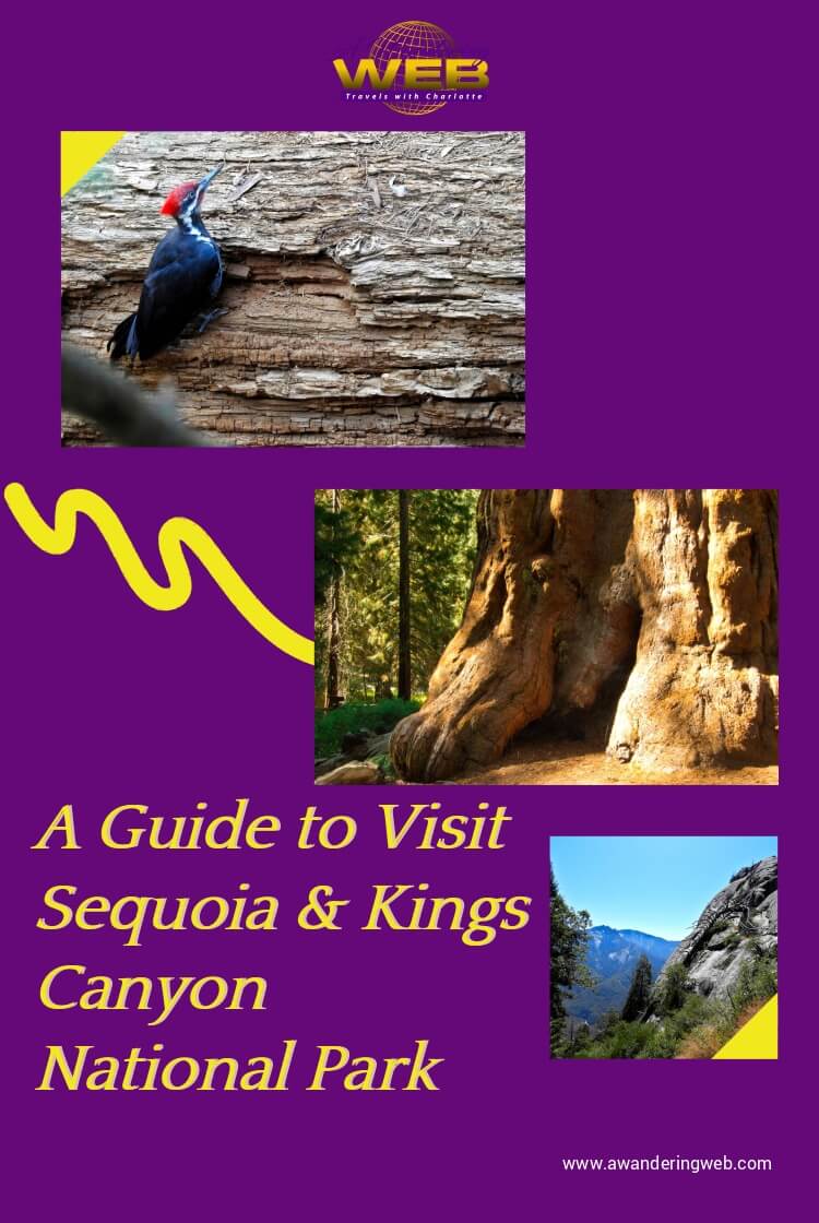 Visit Sequoia National Park Read This Guide First A Wandering Web