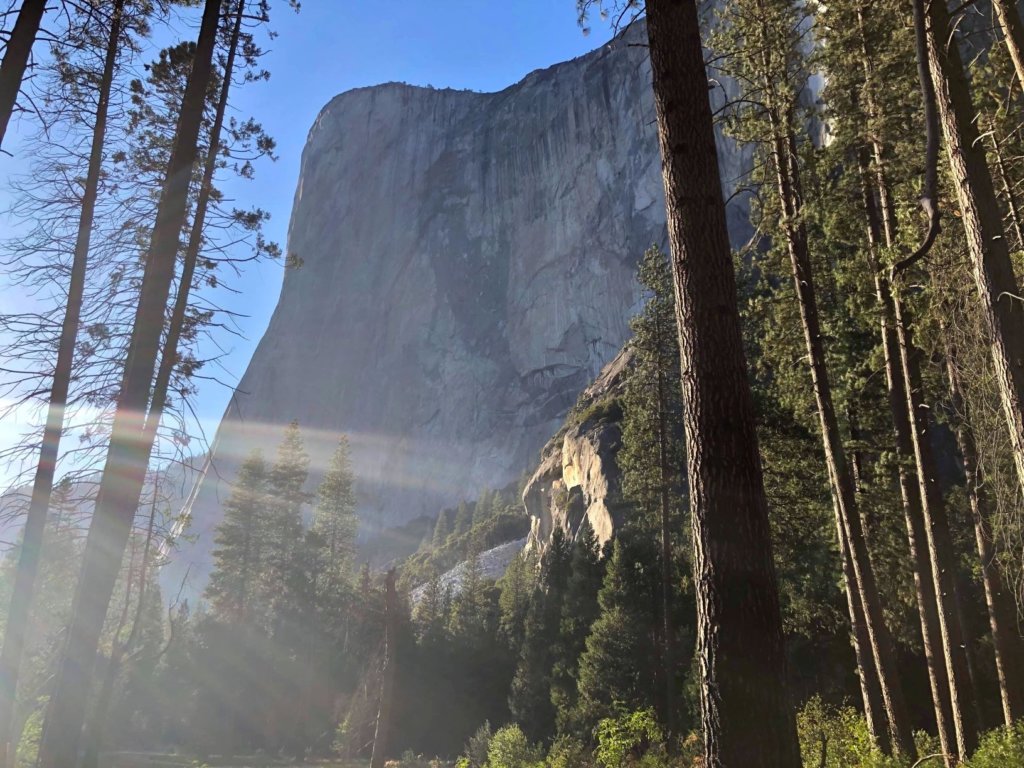 sunrays shining through trees at the base of El Capitan in Yosemite National Park