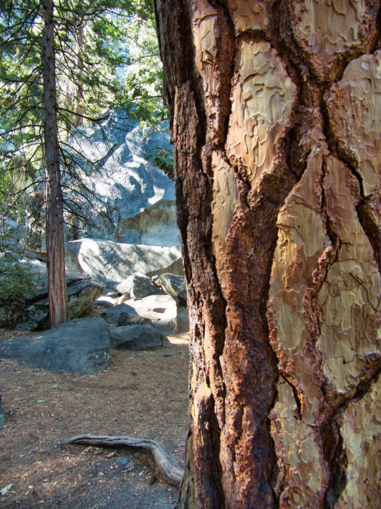 Try these ideas to improve your visit to aesthetic Yosemite National Park in California with friends. Ease your stress. Just have fun. #PlacesToTravel #AdventureTravel