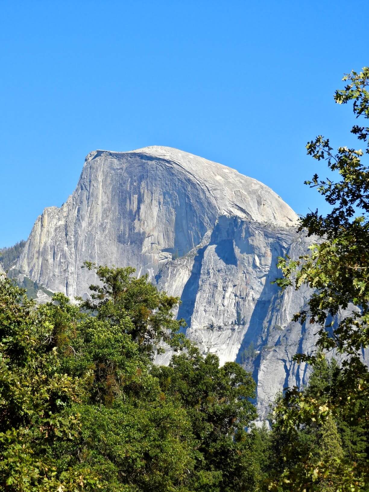 Yosemite National Park Price